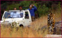 India Taj Mahal Tours