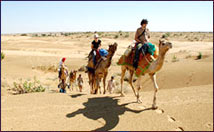 Camel Safari in Jodhpur