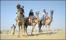 Camel Safari in rajasthan