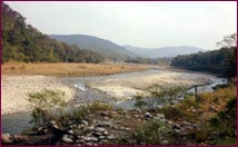 Corbett national park