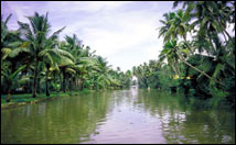 Kerala Backwater