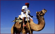 camel safari jaisalmer